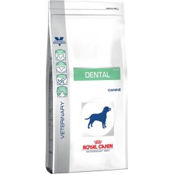 Royal Canin Dental 6kg