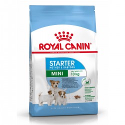 ROYAL CANIN MINI STARTER 4kg