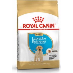 Royal Canin Labrador...