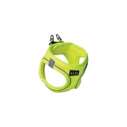 Glee Σαμαράκι Σκύλου...