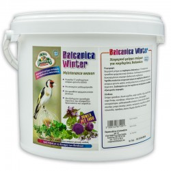 Evia Parrots Balcanica...