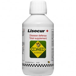 Comed Lisocur+ –...