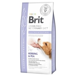Brit VD Dog...