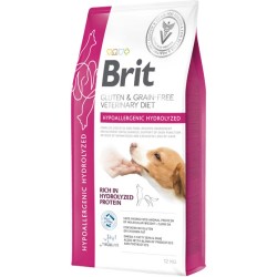 Brit VD GF Dog...