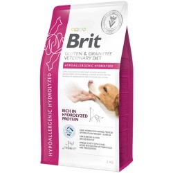 Brit VD GF Dog...