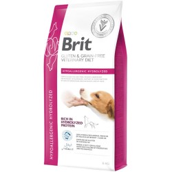 Brit VD GF Dog...