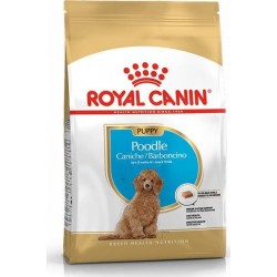Royal Canin Poodle Junior 3kg